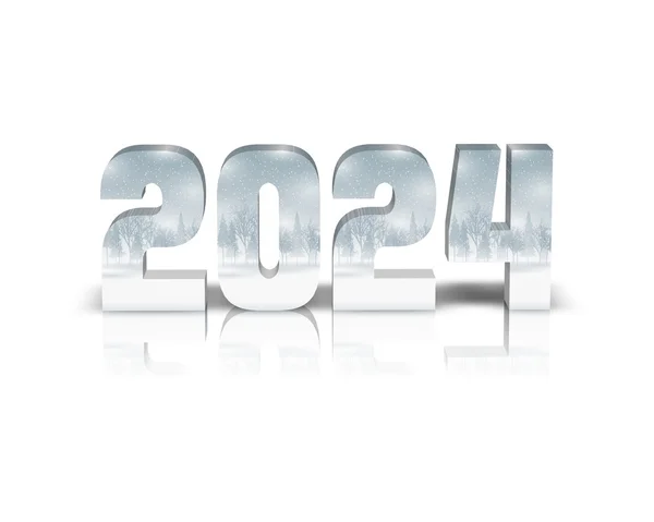 리플렉션 사용 하 여 2024 3d 단어 — 스톡 사진