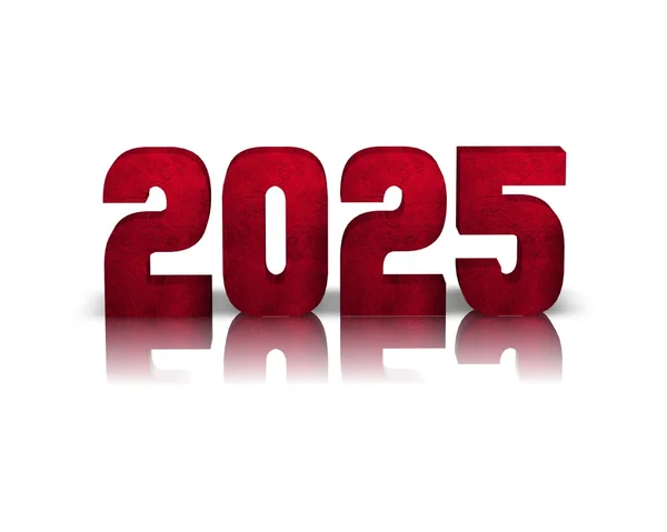 2025 3d szó tükörképe — Stock Fotó