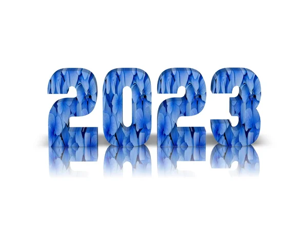 2023 3d λέξη με αντανάκλαση — Φωτογραφία Αρχείου