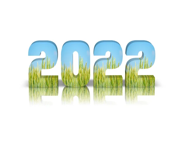 리플렉션 사용 하 여 2022 3d 단어 — 스톡 사진