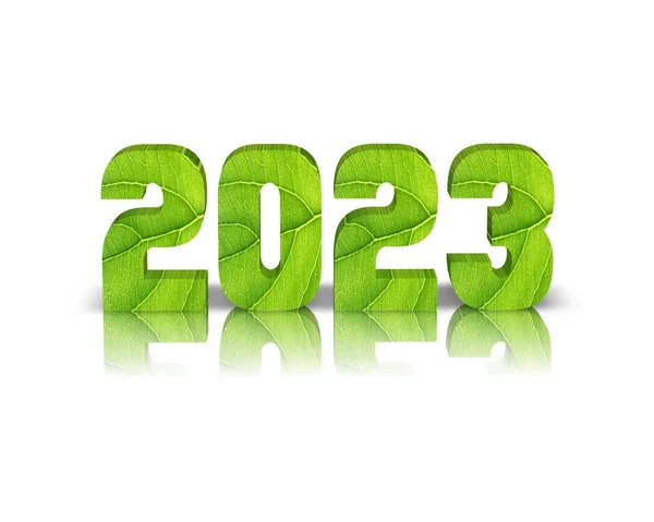 리플렉션 사용 하 여 2023 3d 단어 — 스톡 사진