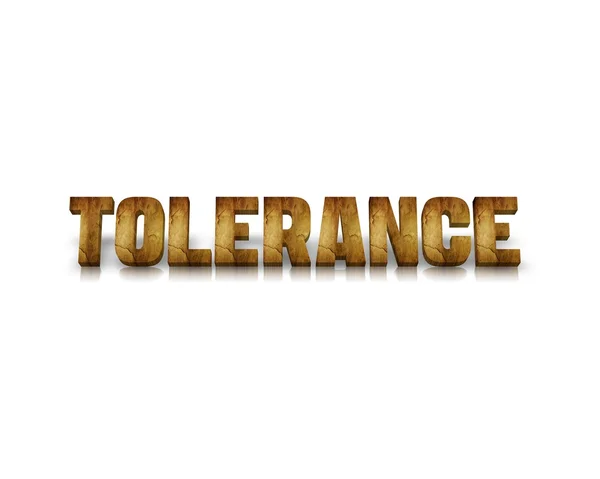 Tolerans 3d ord med eftertanke — Stockfoto