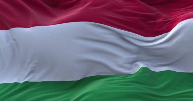 Rüzgarda sallanan Macaristan bayrağı. 3B görüntüleme.