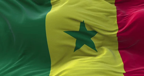 Szenegál Zászlója Lobogott Szélben Renderelés — Stock Fotó