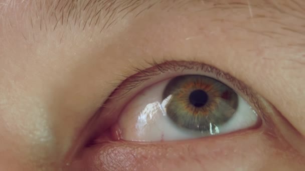 Looking up the gray-green eye of a young man, extreme close-up — Stock Video