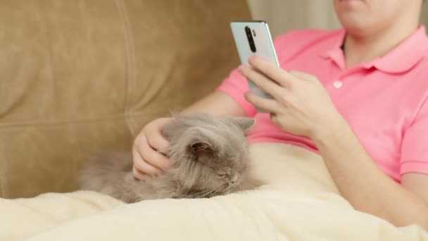 Un hombre con una camiseta rosa sentado en el sofá con teléfono móvil y acariciando gato británico — Vídeos de Stock