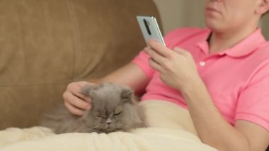 İngiliz kedisi olan bir adam kanepede oturur, cep telefonu kullanır ve kediyi okşar.