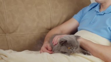 Kanepede battaniyenin altında oturan ve İngiliz kedisini okşayan bir adamın yakın çekimi.