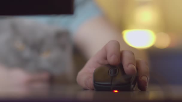 Mano Hombre Sobre Ratón Ordenador Presiona Los Botones Gira Volante — Vídeo de stock