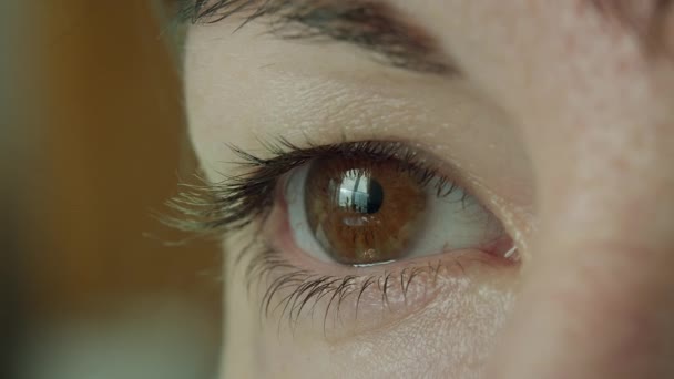 ブラウンの目をした女性は、目に柔らかいコンタクトレンズをつけ、クローズアップ — ストック動画