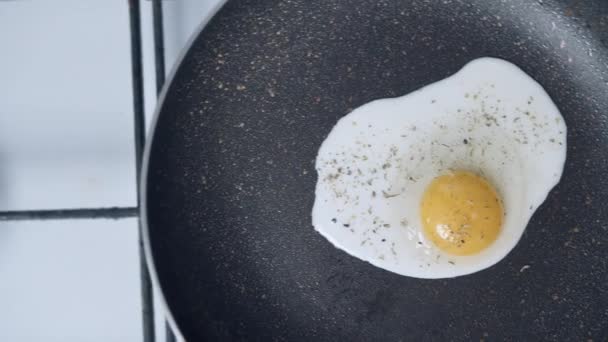 Egg is fried in a pan, camera movement — Stock Video