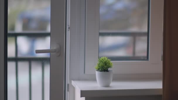 Porte fenêtre et balcon, vue sur la rue avec circulation — Video