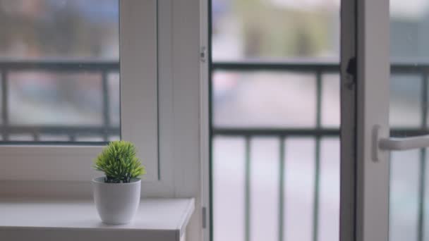 Eine Blume steht auf einem Fenstersims, auf verschwommenem Hintergrund vor dem Fenster, Verkehr auf der Straße — Stockvideo