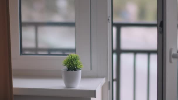 Une fleur se tient sur la fenêtre, sur un fond flou à l'extérieur de la fenêtre, la circulation dans la rue — Video