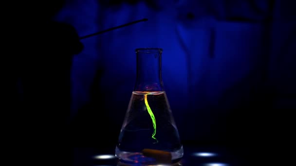 研究室の科学者は 医療化学のための化学研究所で混合の圧延運動と磁気攪拌機のUv光に異なる色溶液を混合しています — ストック動画