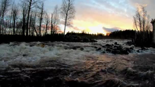 Video Timelapse Agua Fluyendo Río Las Piedras Rodeadas Por Los — Vídeos de Stock