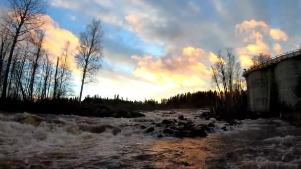 Timelapse Agua Fluida Del Río Las Piedras Rodeadas Por Los — Vídeos de Stock