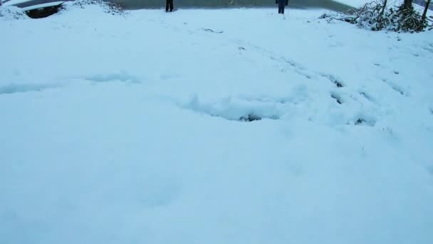 Solo Turystka Jasnoczerwonej Zimowej Kurtce Spacerując Białym Śniegu Kierunku Zamarzniętego — Wideo stockowe
