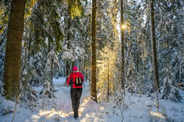 Avrupalı bir kadın modelin ilk yılbaşı manzarası. Ağaçlarla kaplı yolda yürüyor. Ağaçların arasından güneş ışınları geçiyor.
