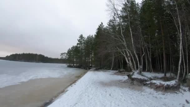 Piękny Widok Spokojnej Zimowej Krainy Czarów Zamarzniętego Jeziora Środku Lasu — Wideo stockowe