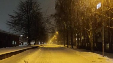 Noel gecesi çam ağaçlarıyla çevrili bir ormanın ortasında 4K yavaş bir kar yağışı.