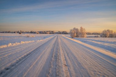 Kış manzarası güneş ışığı ve ufukta çam ağaçlarıyla çevrili küçük ahşap bir kulübe ile kaplıydı.