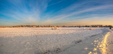 A majestic sunshine horizon view of winter landscape with snow covered pine trees and clear blue sky during the touristic visit in nordic countries