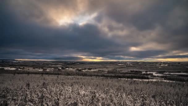 4Kの北ヨーロッパの空と雪に覆われた森の雲の動きの夜の風景 — ストック動画
