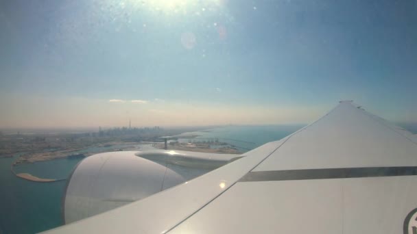 Timelapse Flight Landing Seaside View Sunny Dry Condition Wing Movements — Stock video