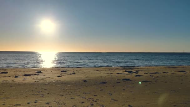 Een Video Van Een Zonnige Dag Een Zandstrand Naast Een — Stockvideo