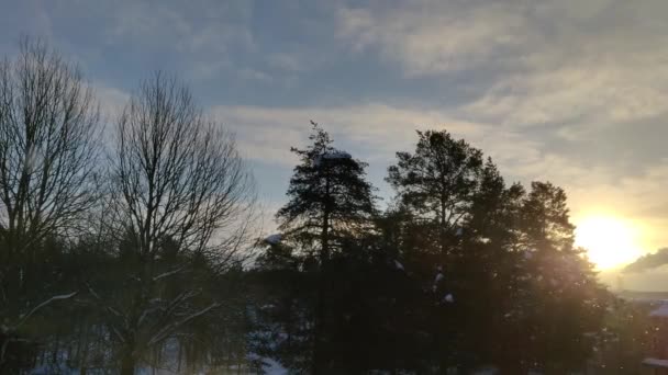 Une Chute Neige Lente Par Une Journée Ensoleillée Ciel Nuageux — Video