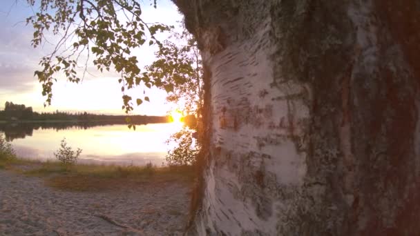 夏の風景の中に夕日の間に湖の緑の木の葉の枝 木の葉が風に乗って動きます 穏やかな水に太陽の反射 リラックスした瞑想的な自然瞬間 — ストック動画