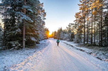 Karlarla kaplı ağaçların sakin manzarası kar yığınları ve güzel günbatımı. Siyah ceketli güzel bir kadın Sihirli Kış Ormanı 'nda yürüyor. Bulutlu gökyüzü ile doğal manzara. 