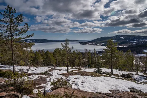 Ormanlı Kış Manzarası Karla Kaplı Ağaçlar Deniz Kenarındaki Dağlar Bulutlu — Stok fotoğraf