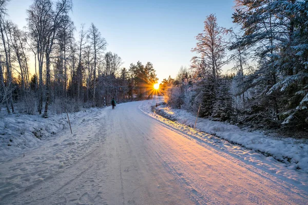 A calm tranquil view of the snow covered trees in the snowdrifts and beautiful sunset. A beautiful woman in coloured jacket walking through the Magical winter forest. winter landscape.