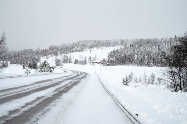 Çam ağacının manzaralı görüntüsü. Bulutlu mavi gökyüzü, sakin kış manzarası. Kayak merkezi. Vahşi bölgenin harika bir resmi. Toprağın güzelliğini keşfedin. Turizm konsepti. Noel ve Mutlu Yıllar!