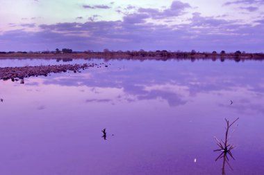 Gökyüzünün bulutlarının yansıdığı mavi saatte görülen küçük bir bataklık.