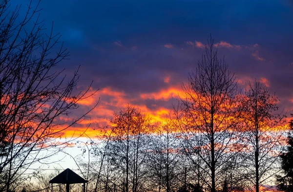 Atemberaubender Dezember Sonnenuntergang Nach Regenfällen — Stockfoto