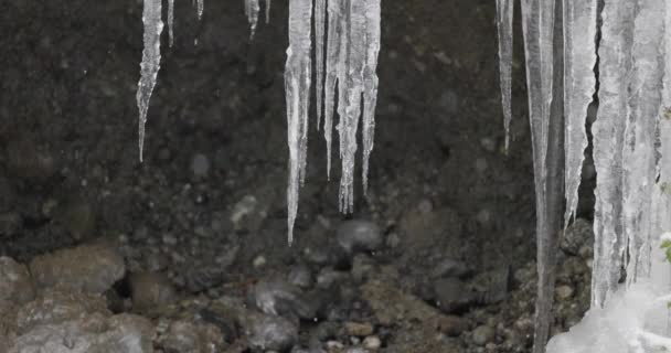 Zeitlupe Nahaufnahme Von Eiszapfen Die Schmelzen Schnee Fällt — Stockvideo