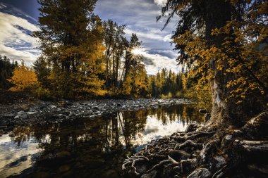 Manning Park Creek çarpıcı sonbahar renkleri