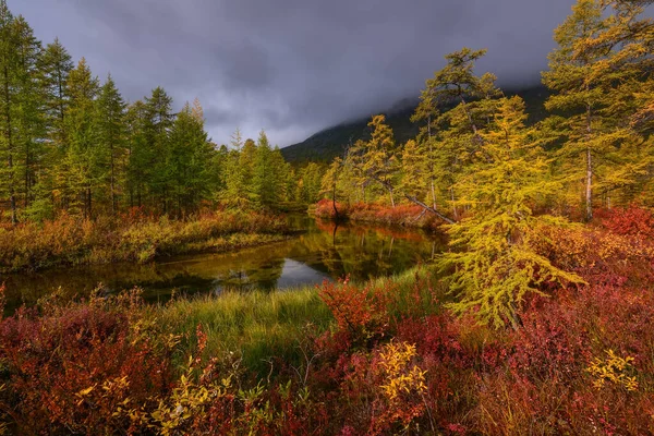 山の中のストリーム上の秋の晴れた日 — ストック写真