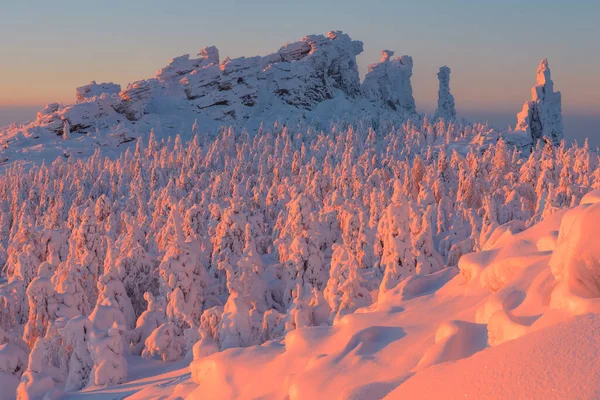 Rocas Árboles Nieve Cima Montaña Una Mañana Helada — Foto de Stock