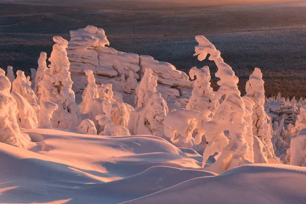 Rocas Árboles Nieve Cima Montaña Una Mañana Helada —  Fotos de Stock