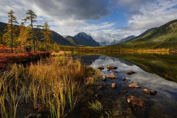 Photographe Plein Air Par Une Journée Ensoleillée Automne Bord Lac — Photo