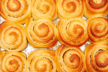 Taze ve lezzetli ev yapımı Macar hindistan cevizi dilimleri. Üst görünüm.