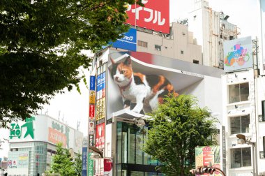Shinjuku Şehri, Tokyo, Japonya - 10 Temmuz 2021: Büyüleyici ultra gerçekçi 4K dijital ekran ekranında dev kedi.