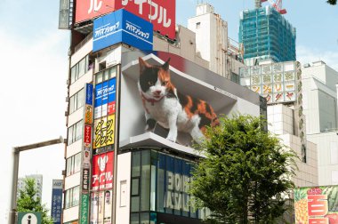 Shinjuku Şehri, Tokyo, Japonya - 10 Temmuz 2021: Büyüleyici ultra gerçekçi 4K dijital ekran ekranında dev kedi.