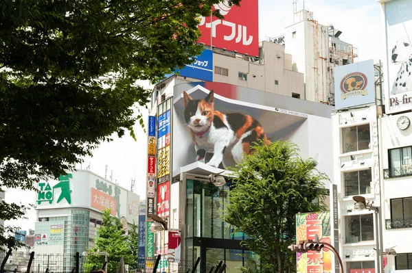 신주쿠 2021 엄청나게 현실적 디지털 스크린 디스플레이의 자이언트 고양이 — 스톡 사진