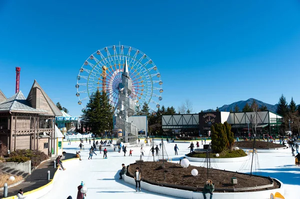 Fuji Highland Fujiyoshida Şehri Yamanashi Bölgesi Japonya Ocak 2019 Dönme — Stok fotoğraf