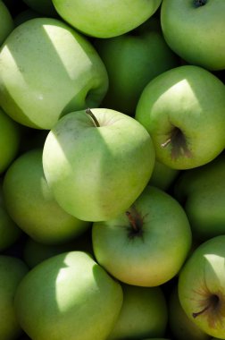 organik yeşil elma